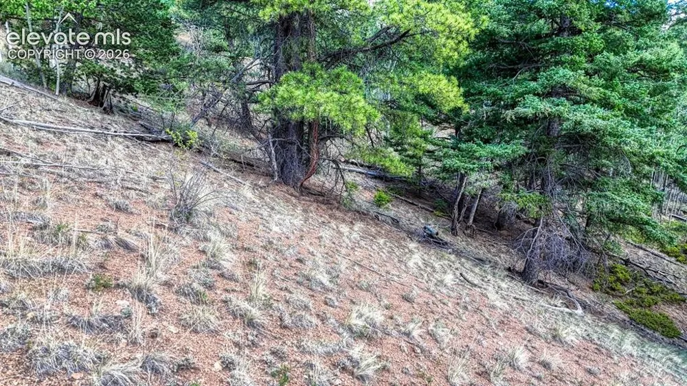783 Bennett Drive Cripple Creek, CO 80813