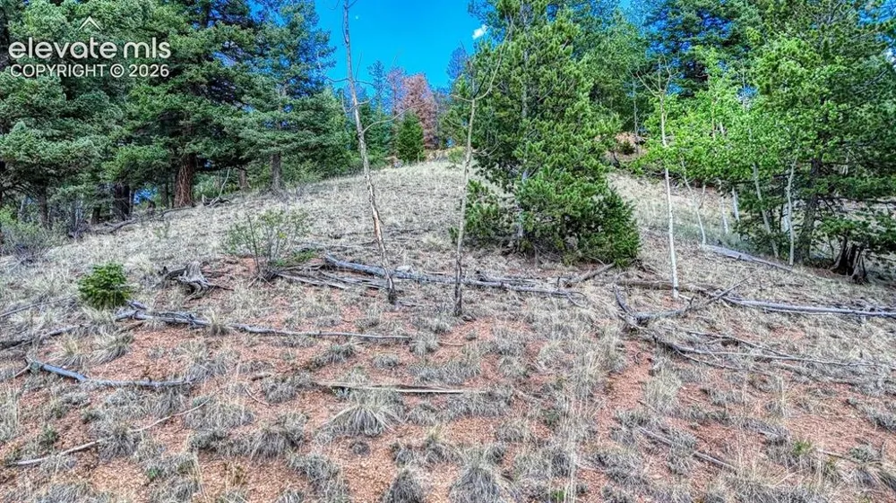 783 Bennett Drive Cripple Creek, CO 80813