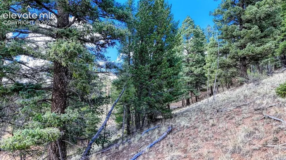 783 Bennett Drive Cripple Creek, CO 80813