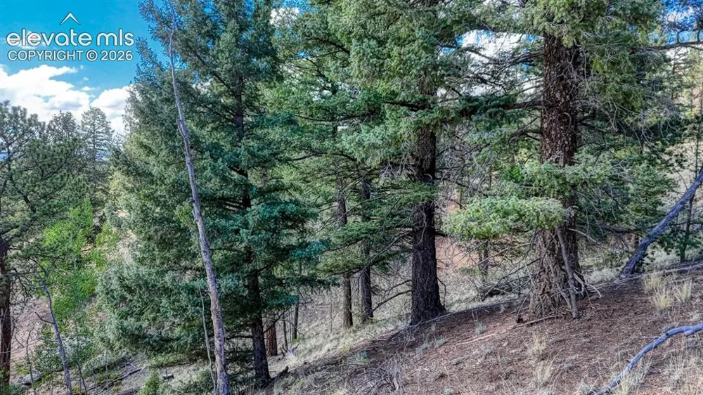 783 Bennett Drive Cripple Creek, CO 80813
