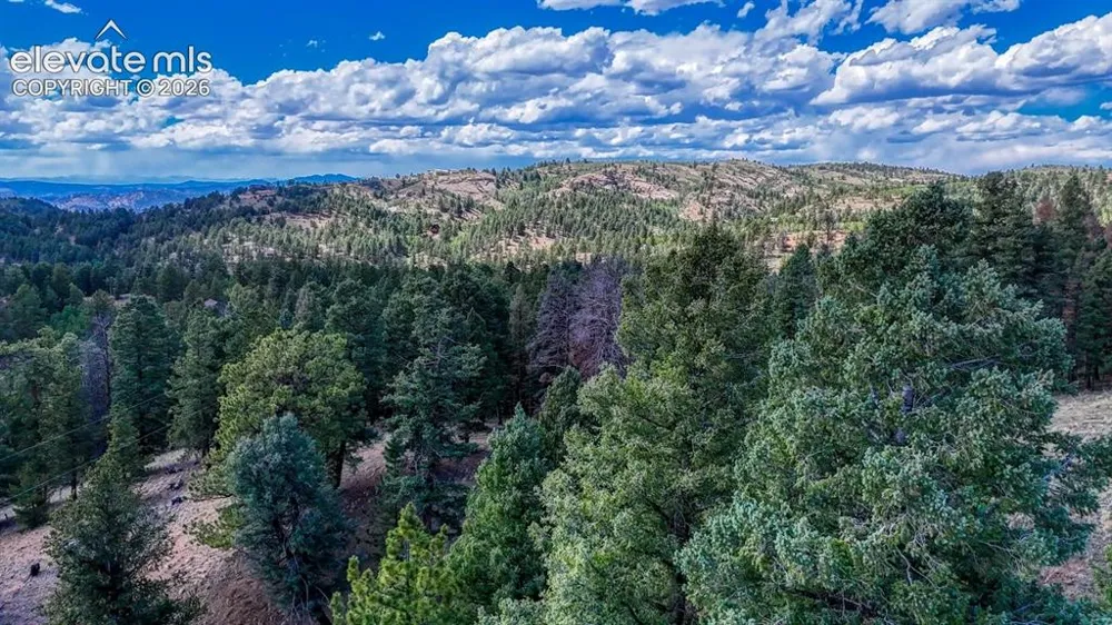 783 Bennett Drive Cripple Creek, CO 80813