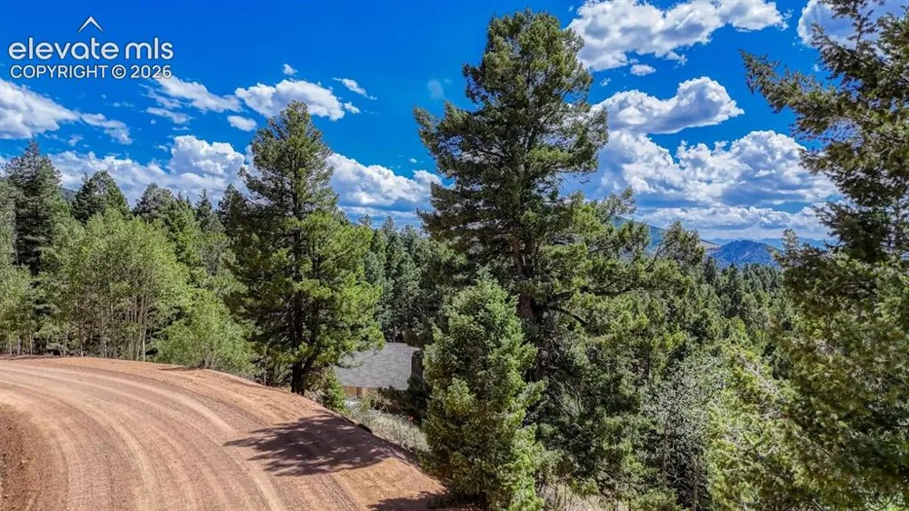 783 Bennett Drive Cripple Creek, CO 80813