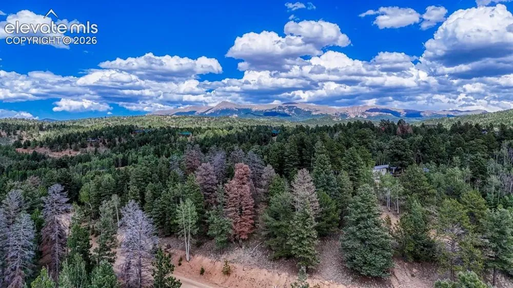 783 Bennett Drive Cripple Creek, CO 80813