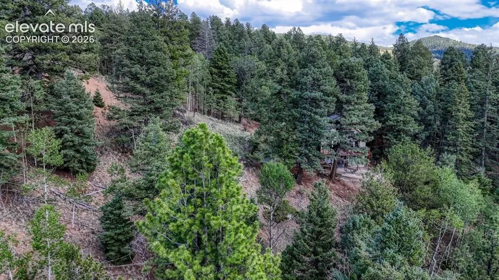783 Bennett Drive Cripple Creek, CO 80813
