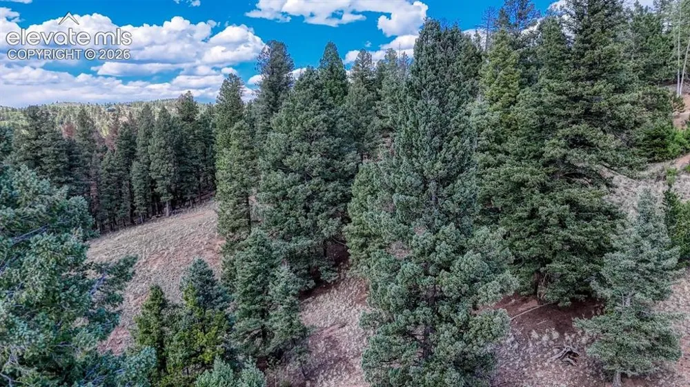 783 Bennett Drive Cripple Creek, CO 80813