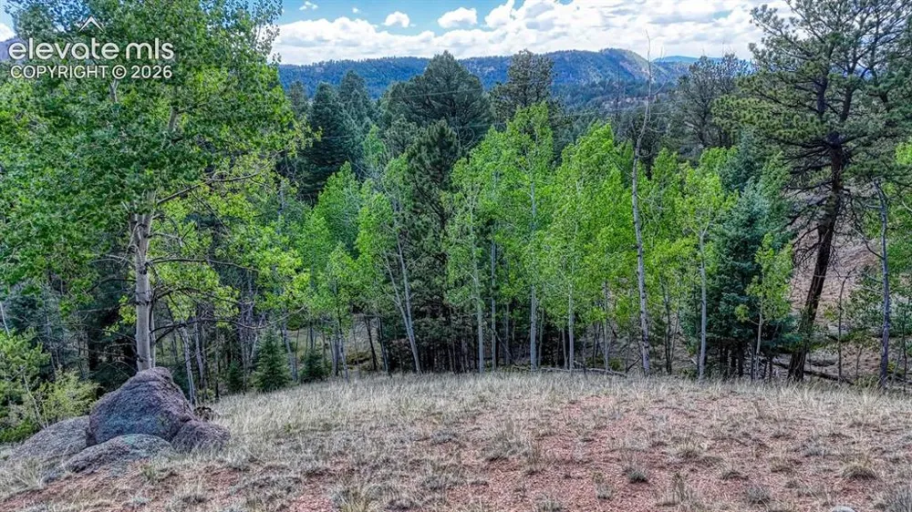 783 Bennett Drive Cripple Creek, CO 80813