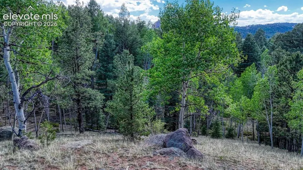 783 Bennett Drive Cripple Creek, CO 80813