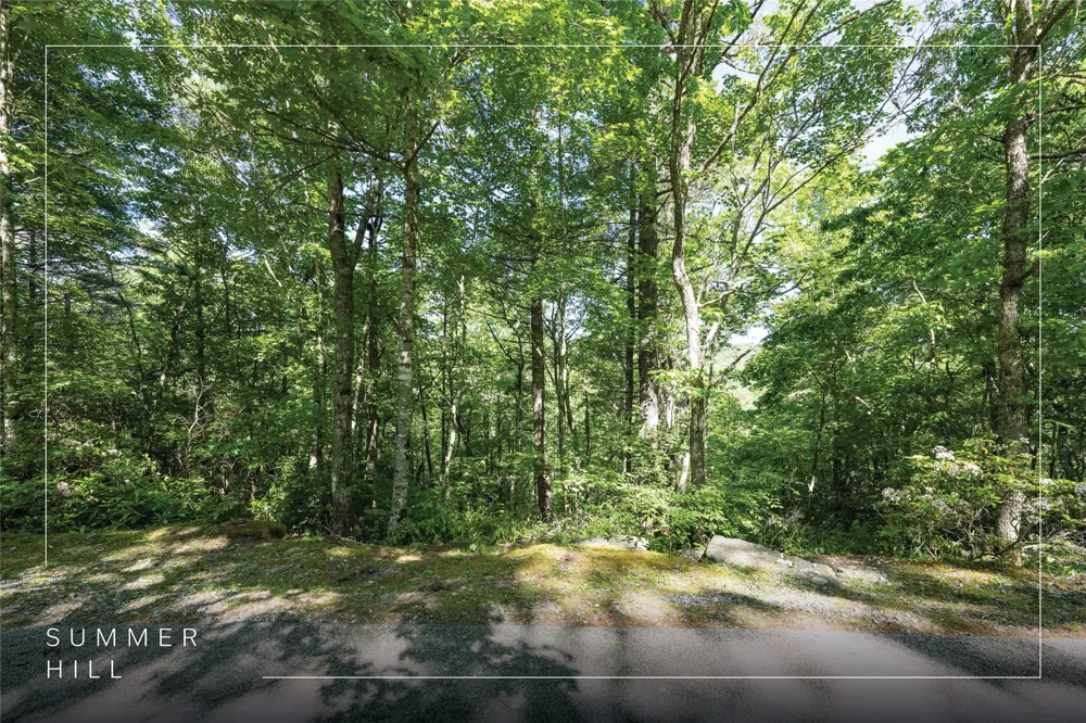 Lot 26 Wildberry Lane Cullowhee, NC 28723