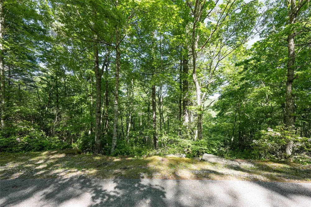 Lot 26 Wildberry Lane Cullowhee, NC 28723
