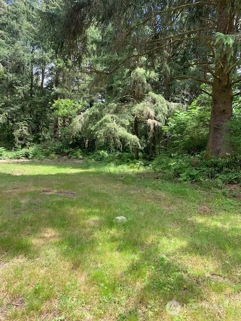 35208 Stackpole Road Ocean Park, WA 98640