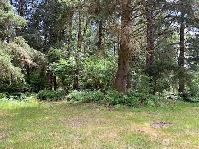 35208 Stackpole Road Ocean Park, WA 98640