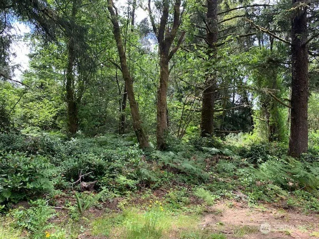 35208 Stackpole Road Ocean Park, WA 98640