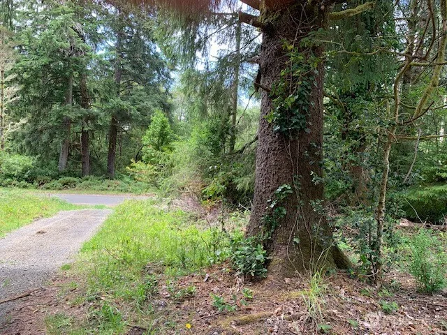 35208 Stackpole Road Ocean Park, WA 98640