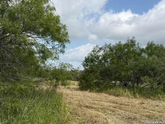 585 County Road 768 Devine, TX 78016