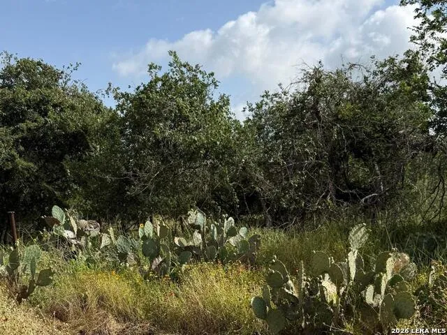 585 County Road 768 Devine, TX 78016