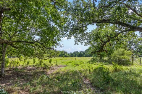 11504 Dowling Road