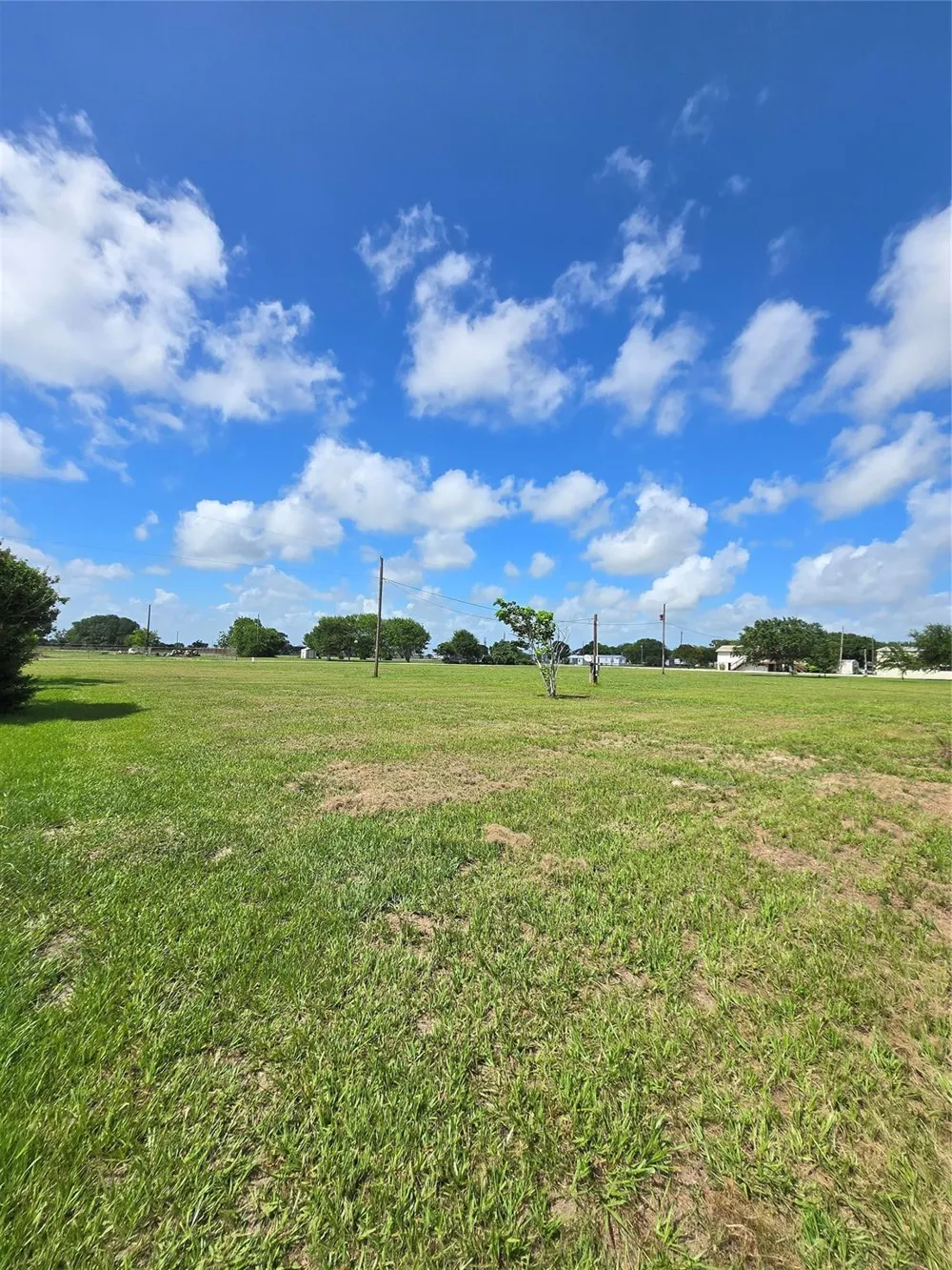 1451 Curlew Drive Palacios, TX 77465