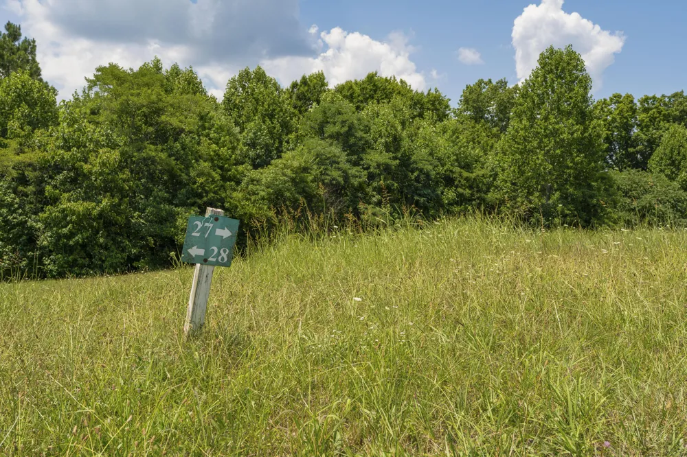 Mill Drive Decatur, TN 37322