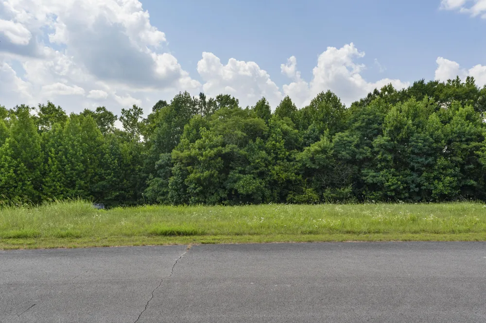 Mill Drive Decatur, TN 37322