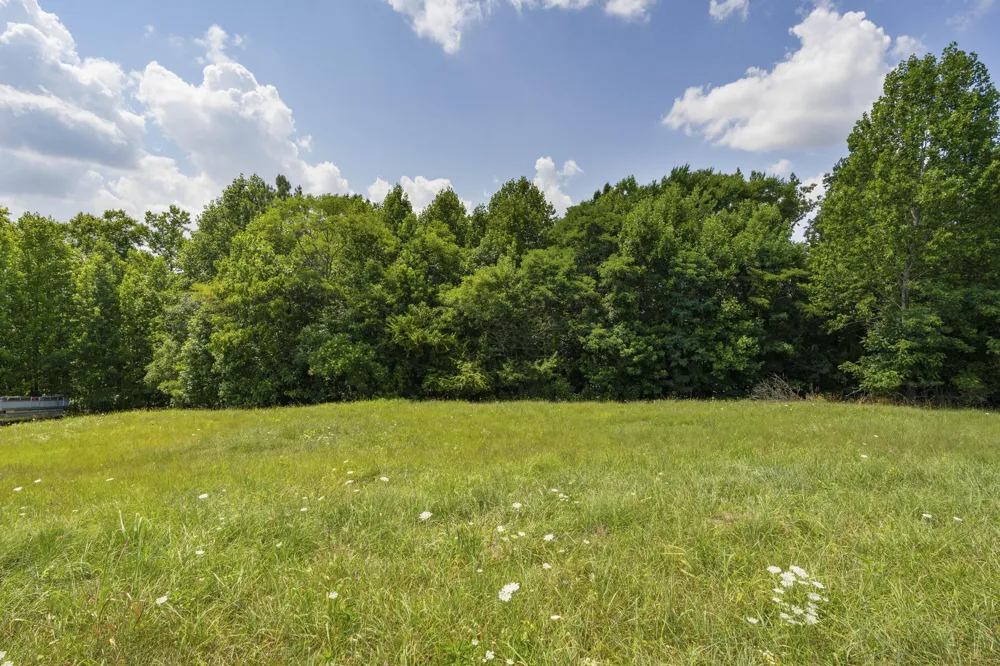 Mill Drive Decatur, TN 37322