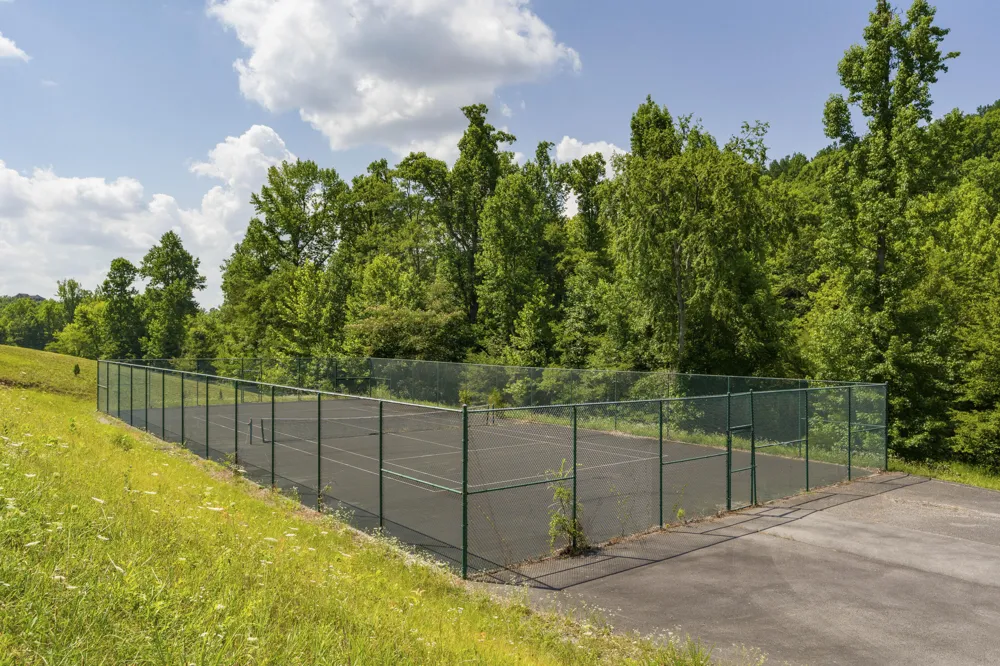 Mill Drive Decatur, TN 37322