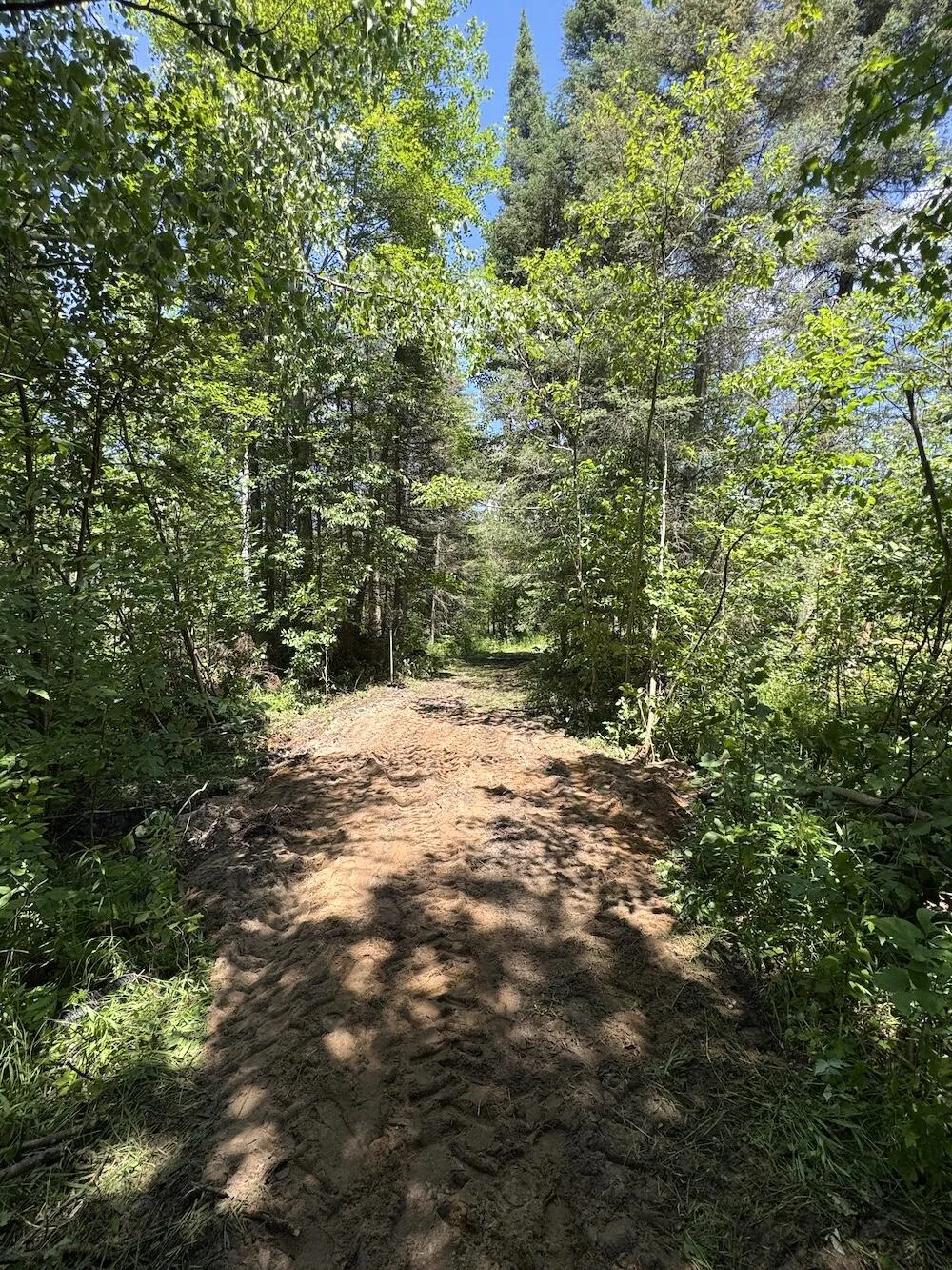 S Loxley Road Houghton Lake, MI 48629