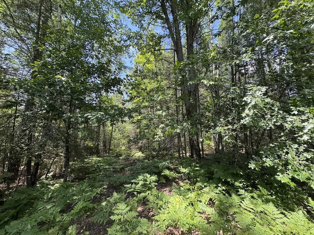 S Loxley Road Houghton Lake, MI 48629