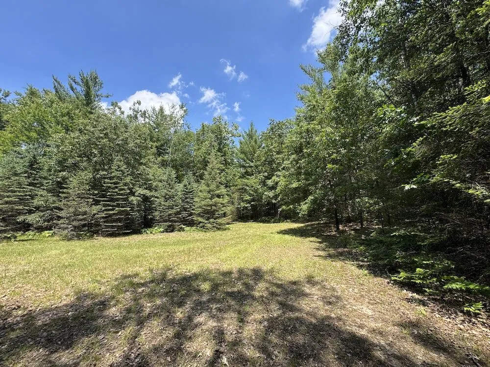 S Loxley Road Houghton Lake, MI 48629
