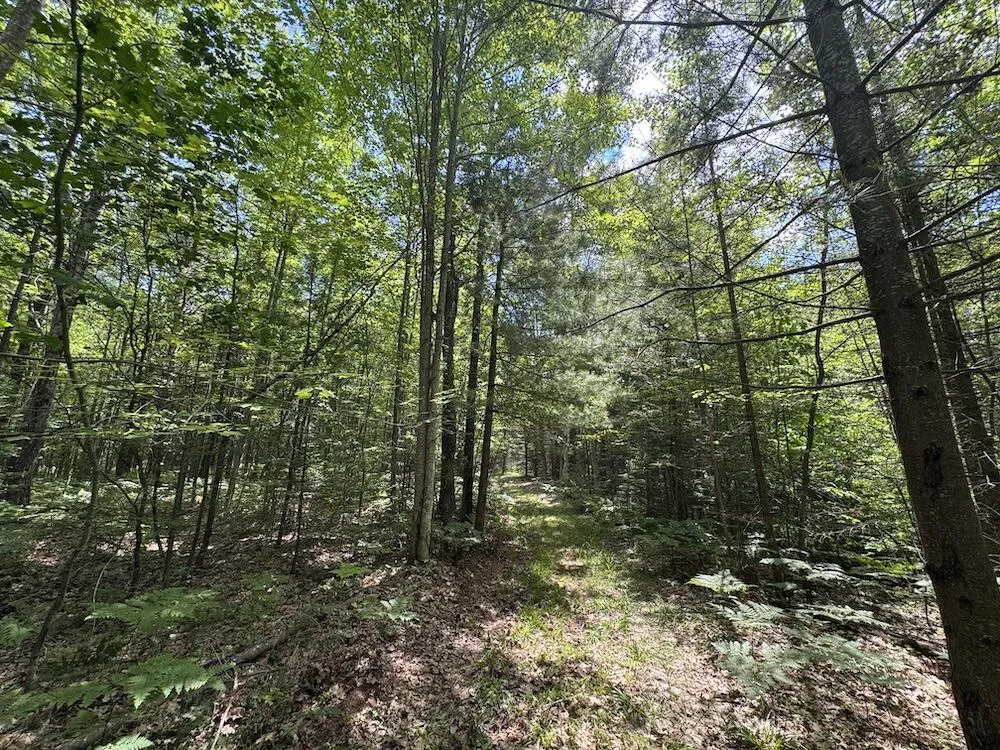 S Loxley Road Houghton Lake, MI 48629