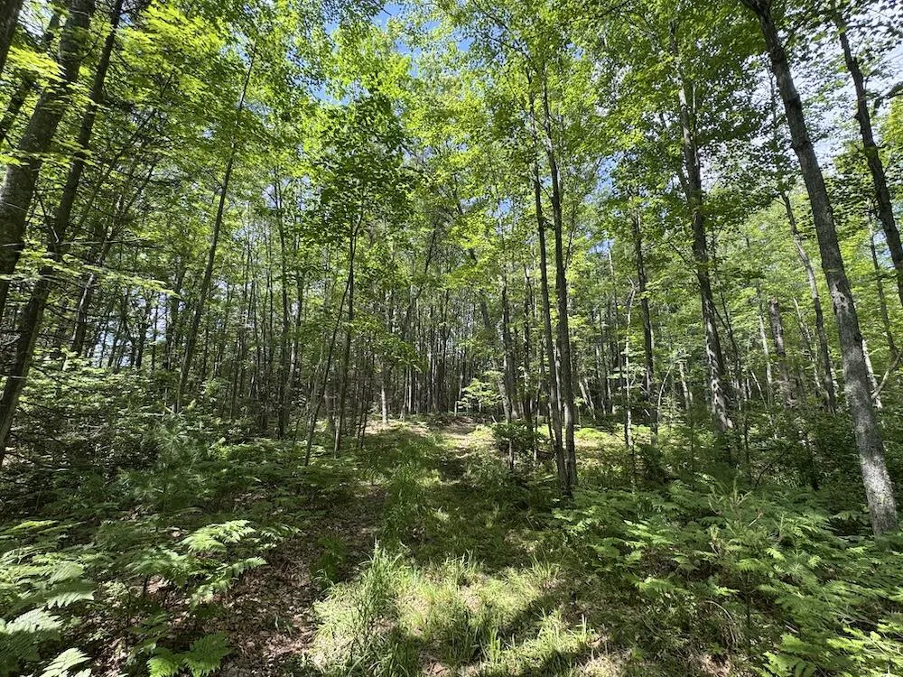 S Loxley Road Houghton Lake, MI 48629