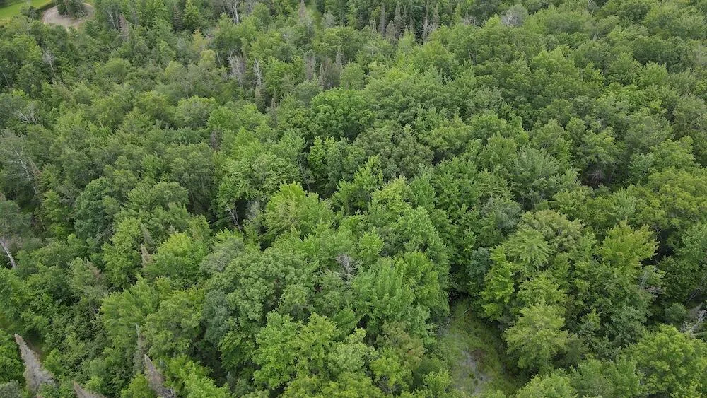 S Loxley Road Houghton Lake, MI 48629