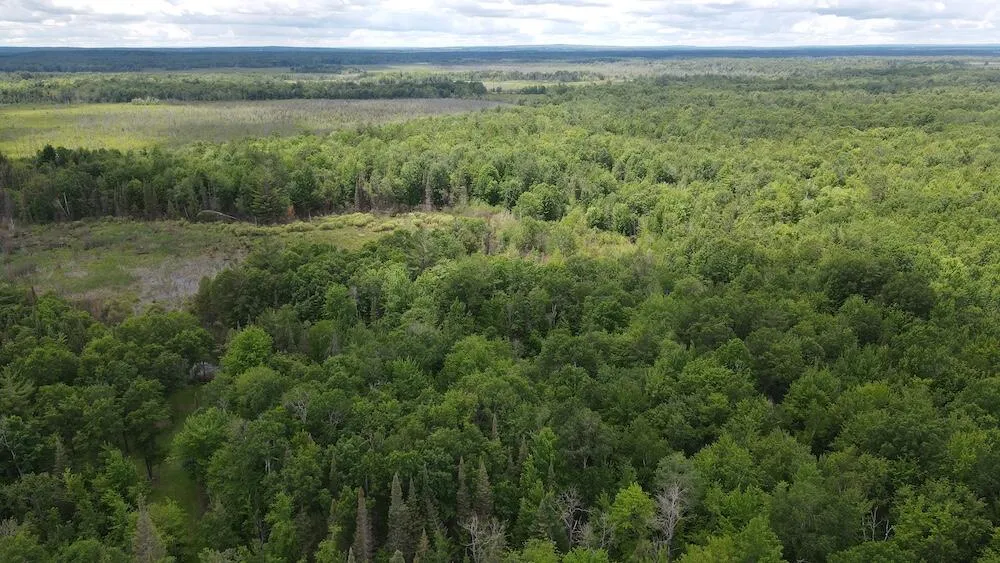 S Loxley Road Houghton Lake, MI 48629