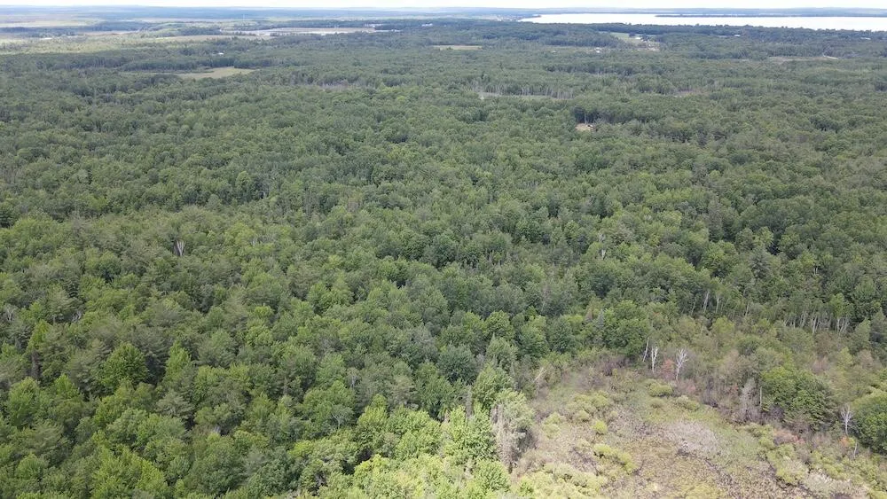 S Loxley Road Houghton Lake, MI 48629