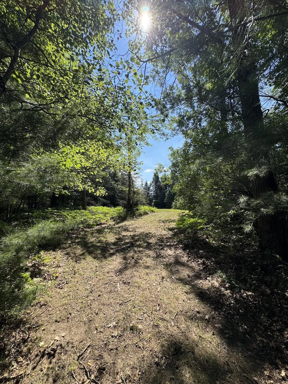 S Loxley Road Houghton Lake, MI 48629