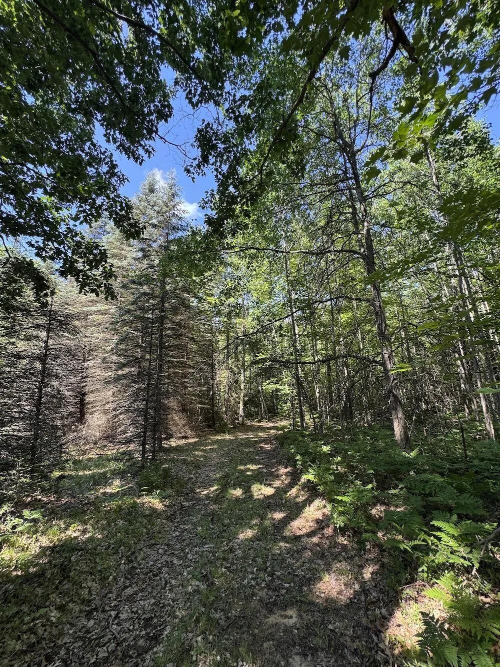 S Loxley Road Houghton Lake, MI 48629