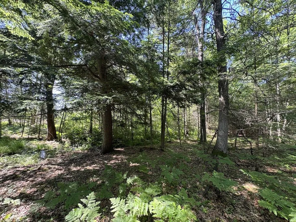 S Loxley Road Houghton Lake, MI 48629
