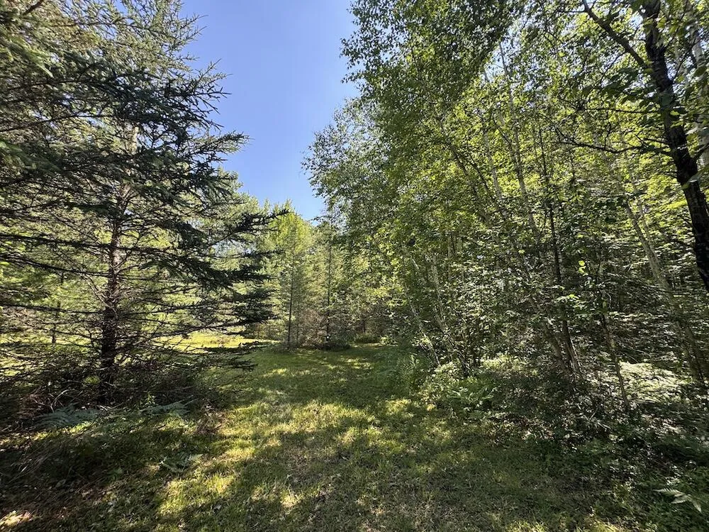 S Loxley Road Houghton Lake, MI 48629