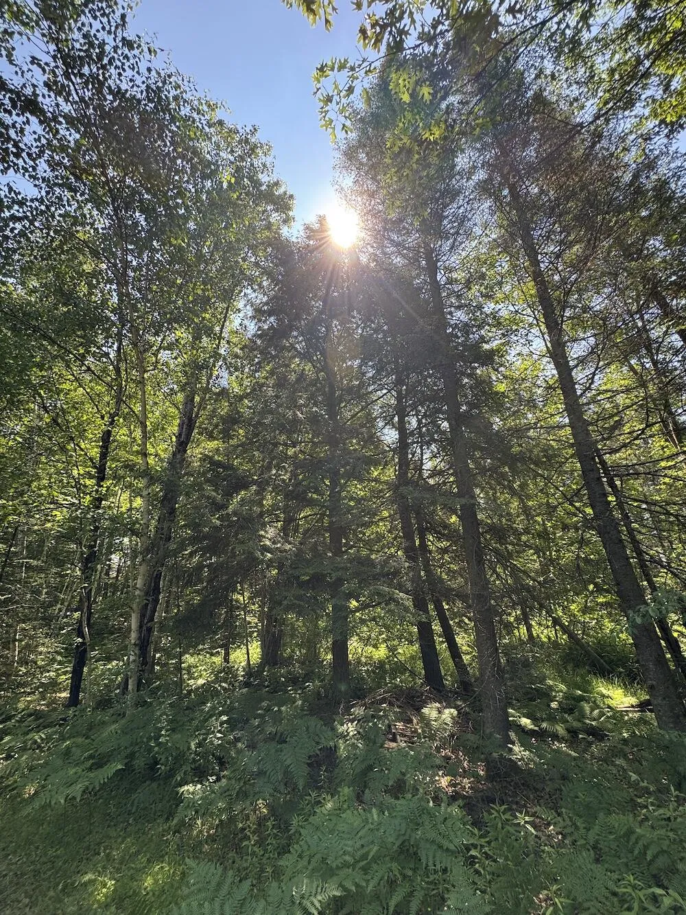 S Loxley Road Houghton Lake, MI 48629