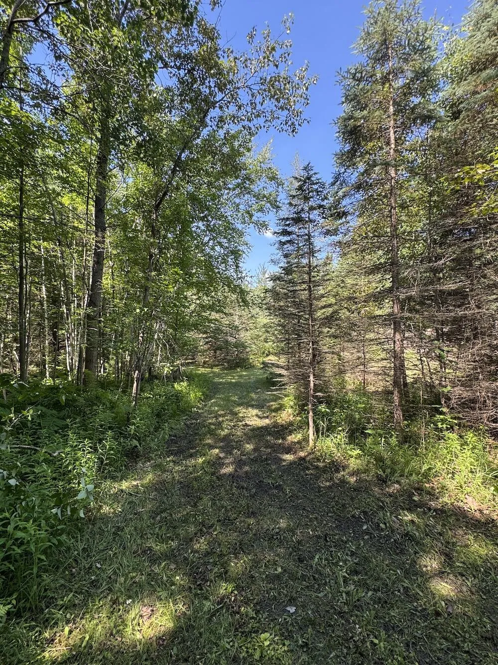 S Loxley Road Houghton Lake, MI 48629