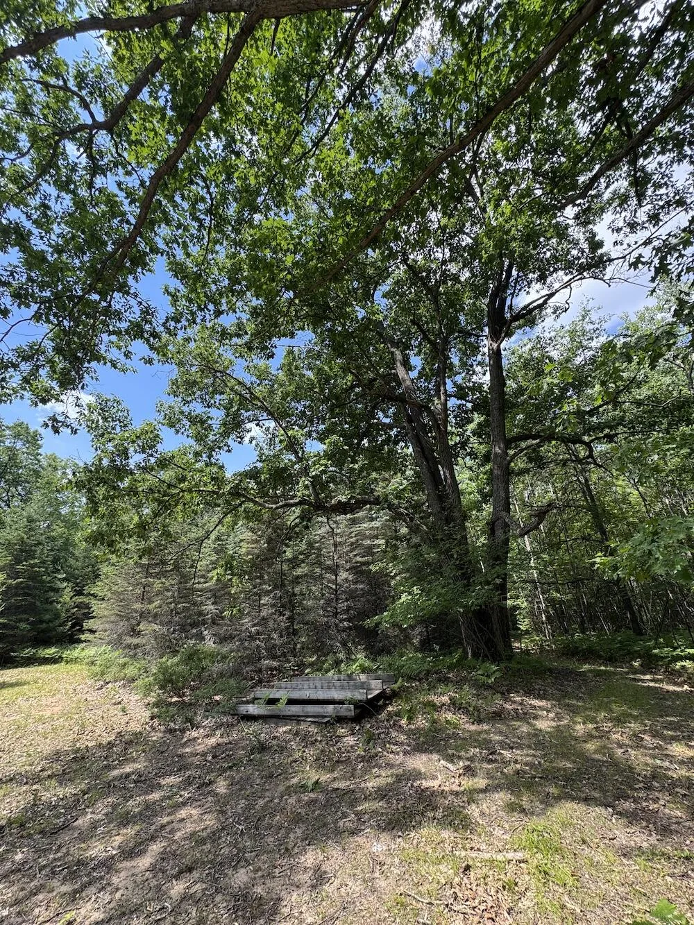 S Loxley Road Houghton Lake, MI 48629