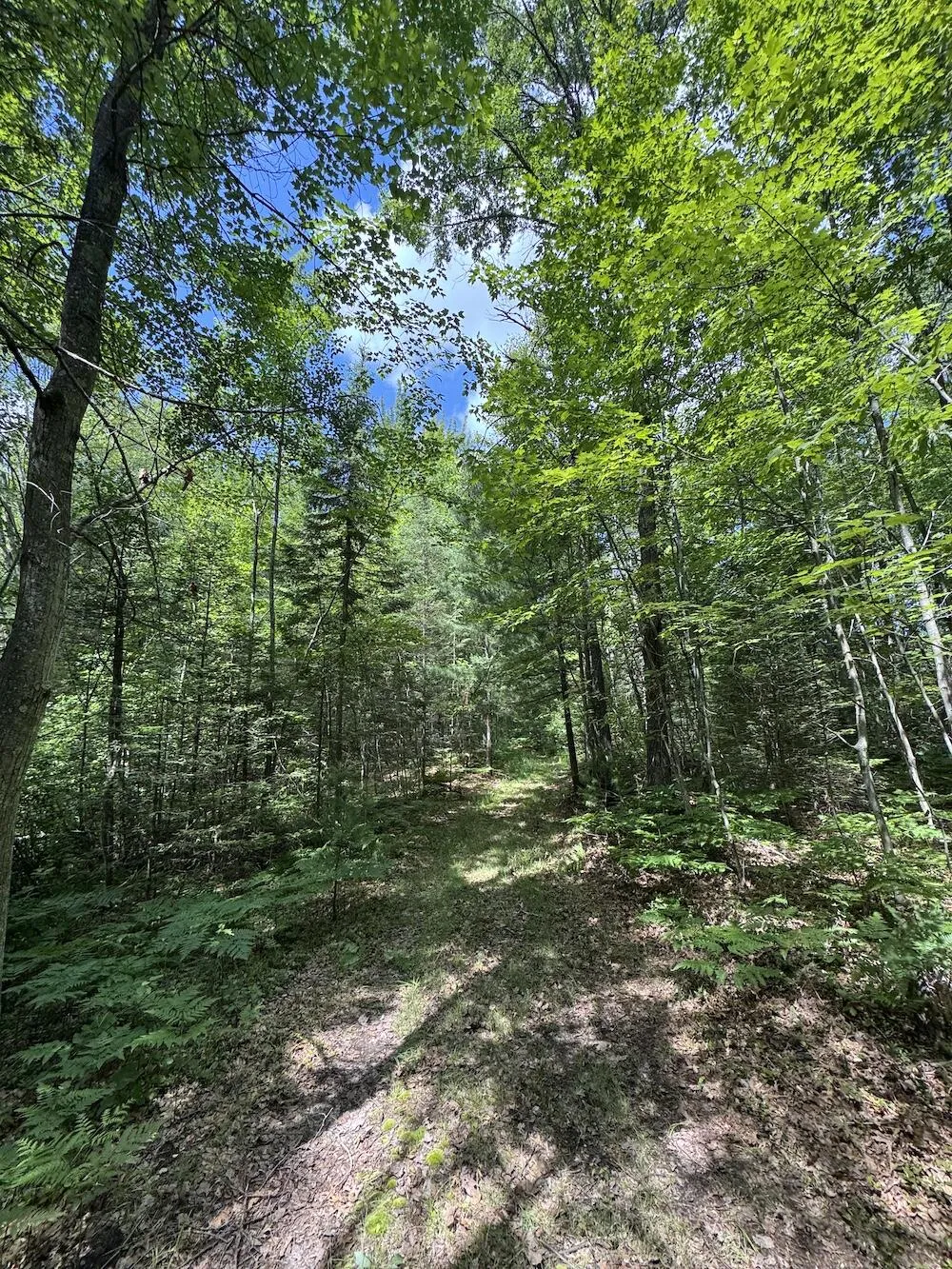 S Loxley Road Houghton Lake, MI 48629