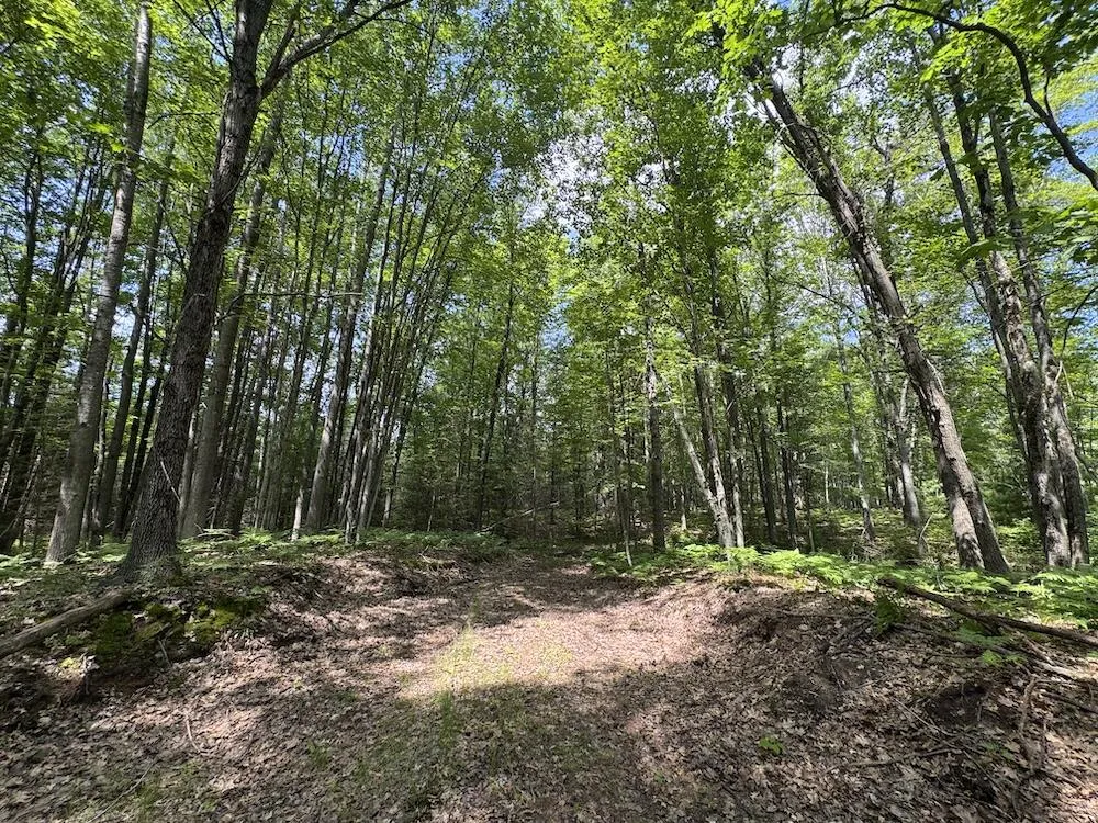 S Loxley Road Houghton Lake, MI 48629
