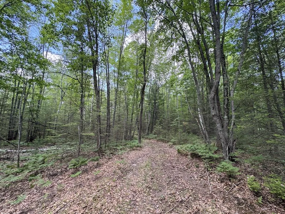 S Loxley Road Houghton Lake, MI 48629
