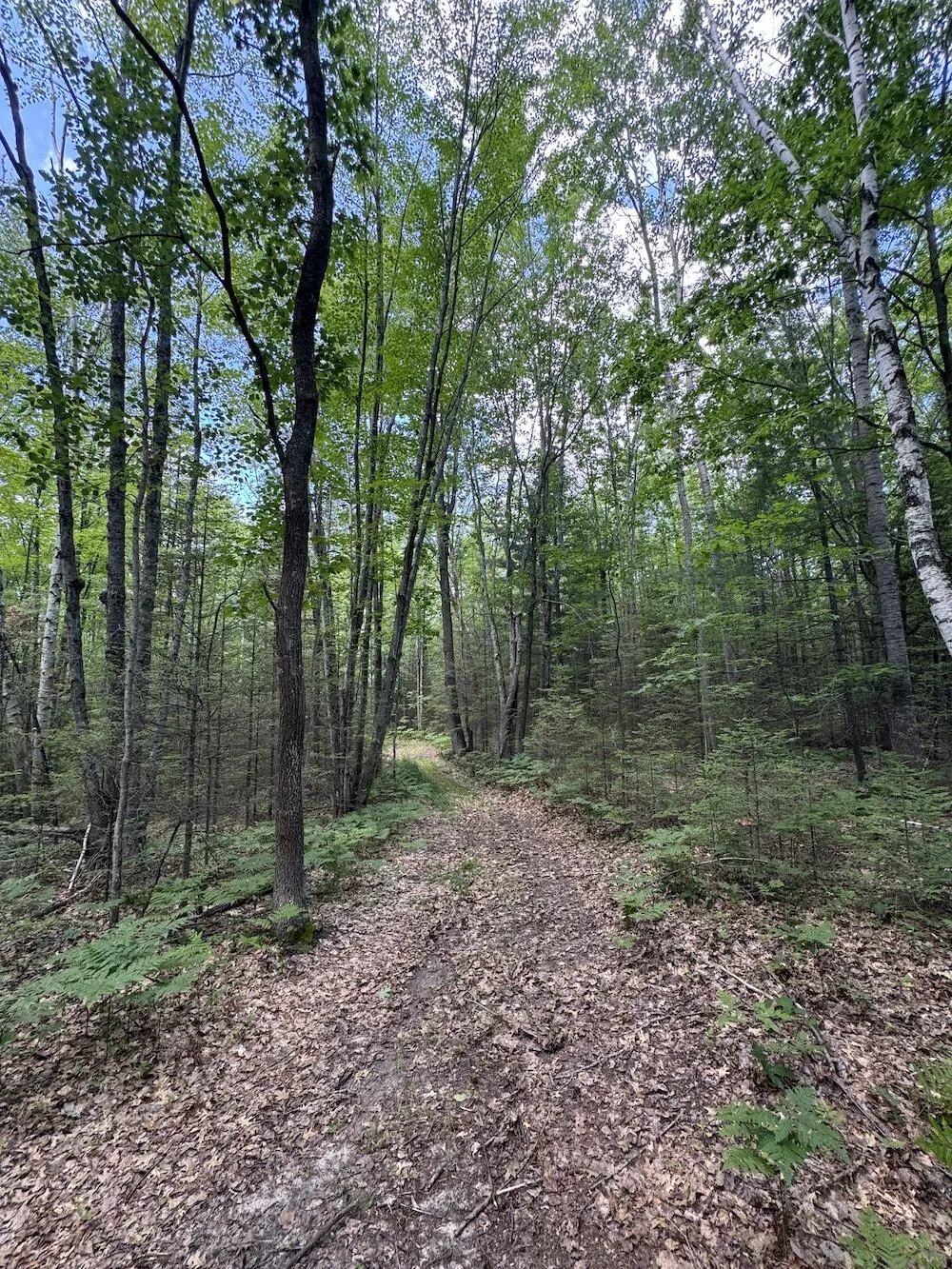 S Loxley Road Houghton Lake, MI 48629
