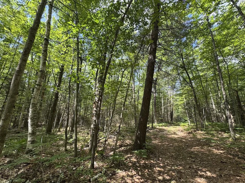 S Loxley Road Houghton Lake, MI 48629