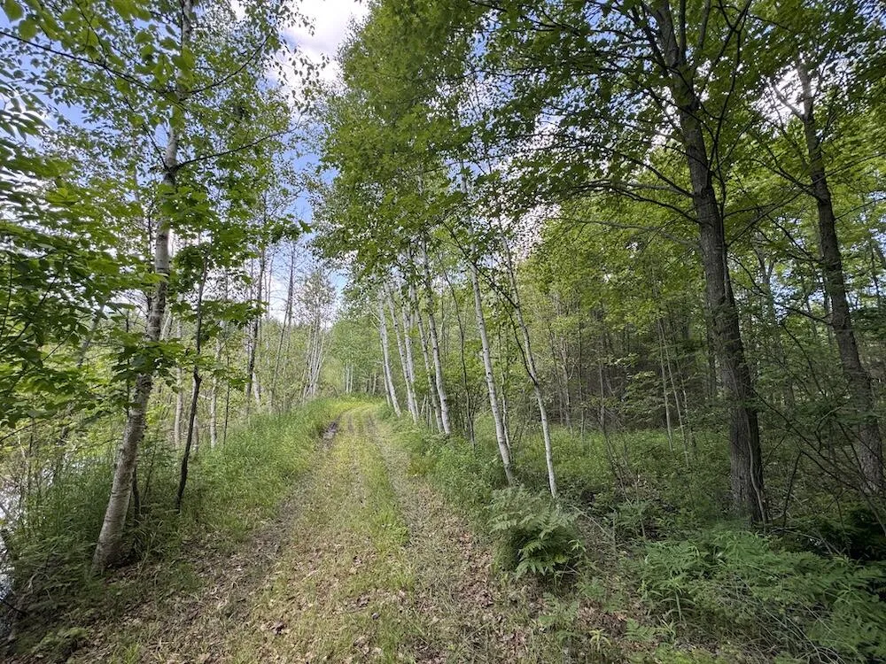 S Loxley Road Houghton Lake, MI 48629