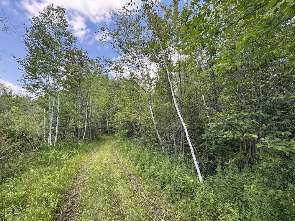 S Loxley Road Houghton Lake, MI 48629