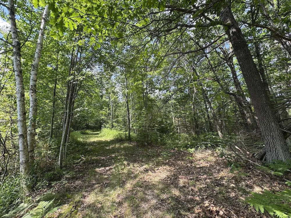 S Loxley Road Houghton Lake, MI 48629