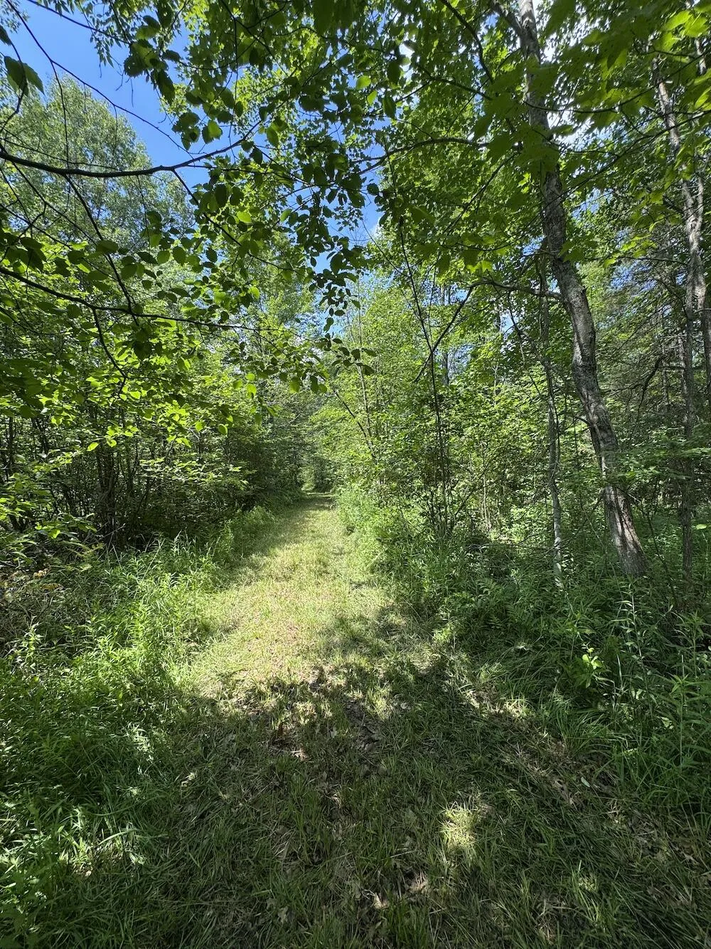 S Loxley Road Houghton Lake, MI 48629