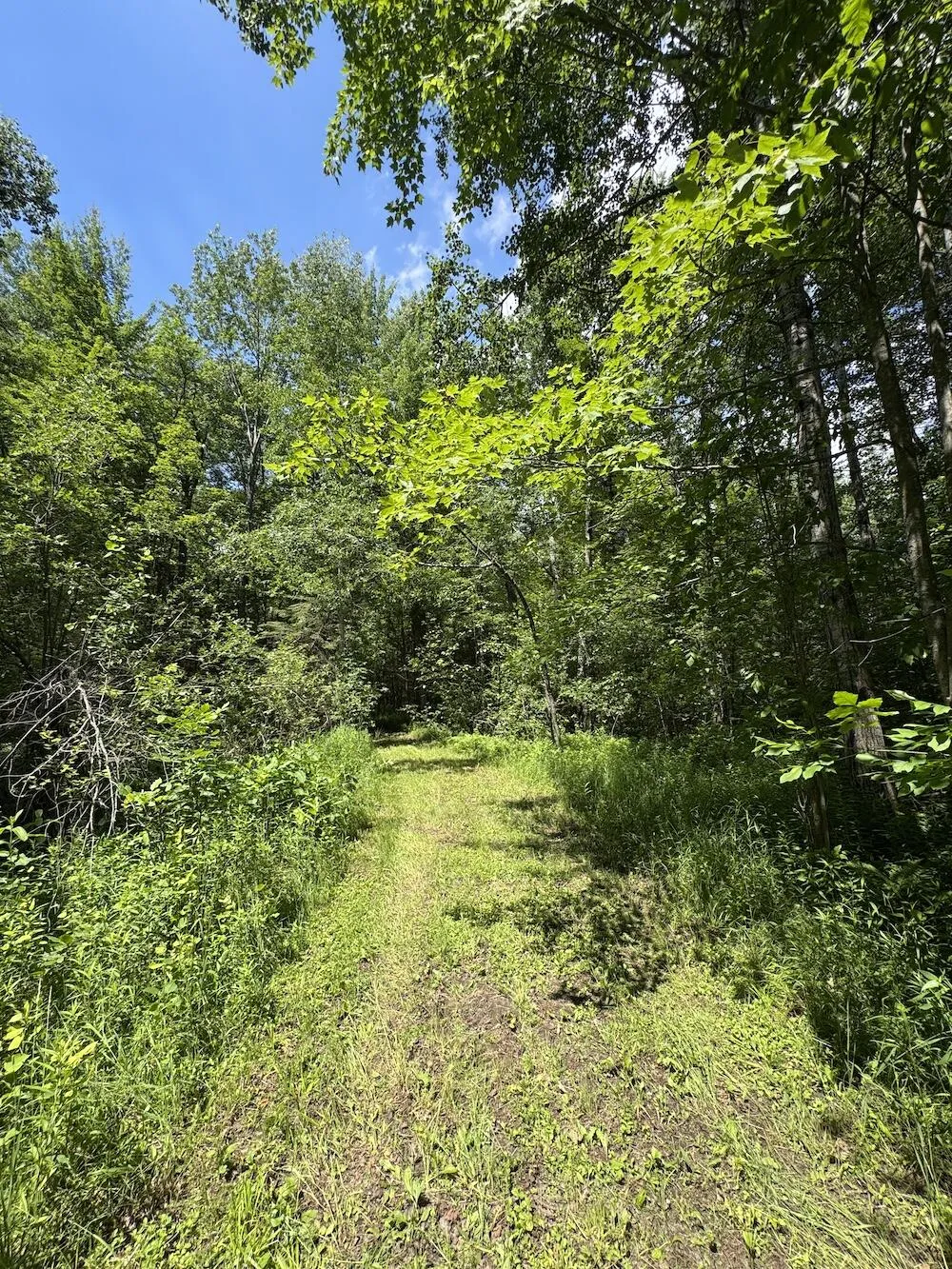 S Loxley Road Houghton Lake, MI 48629